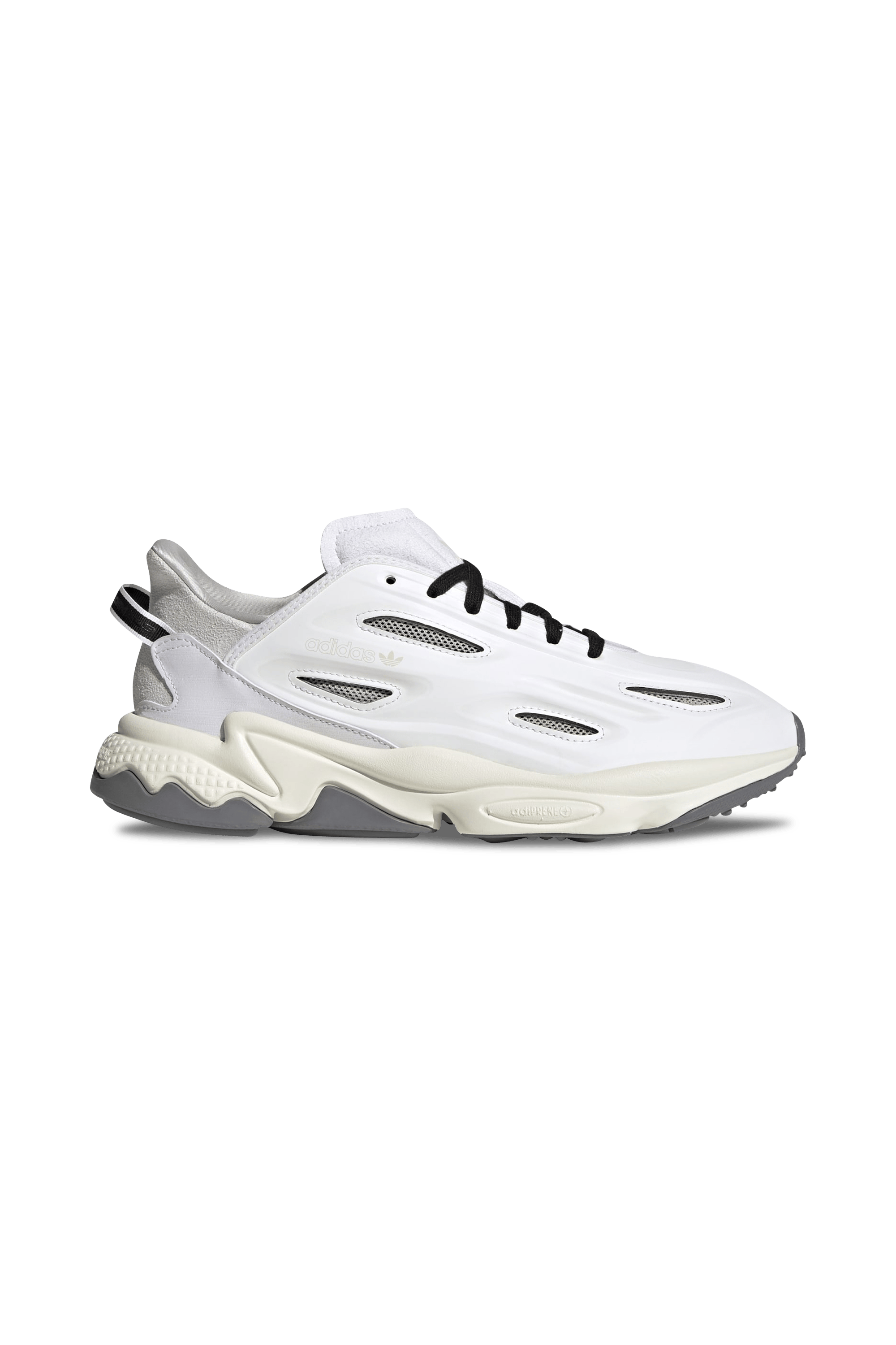 citadium ozweego