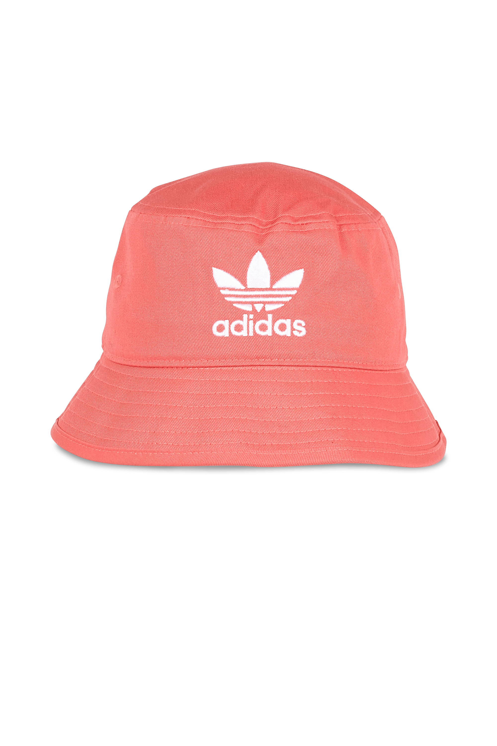 bob adicolor