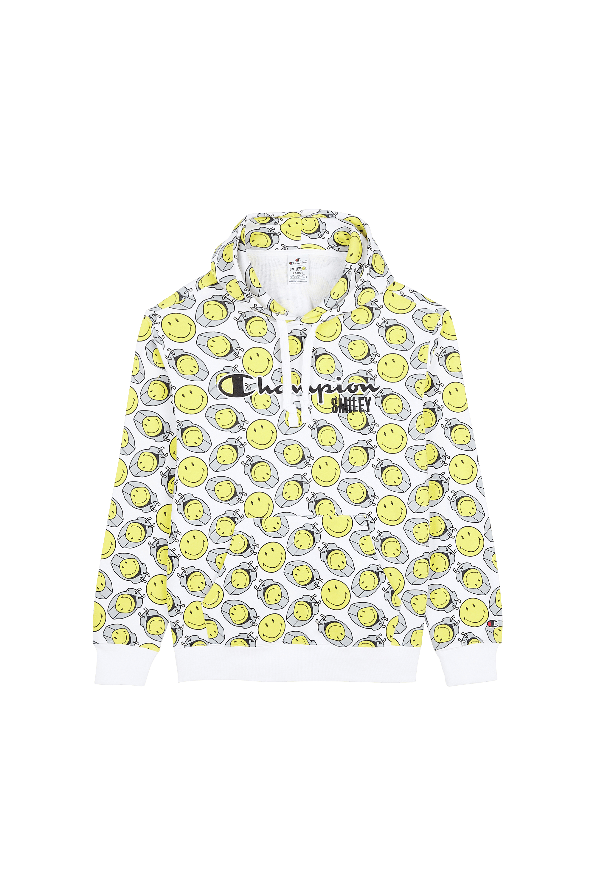 hoodie champion homme