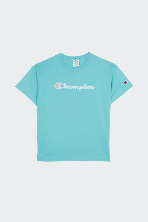 Chandail sales champion femme