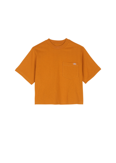 DICKIES T-shirt Orange