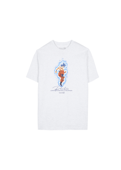 PRIMITIVE SKATEBOARDING T-shirt Primitive x Dragon Ball Z Gris