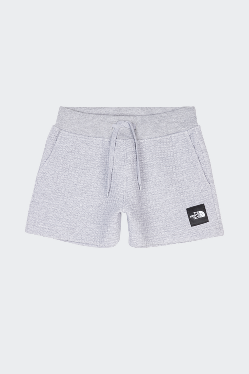 THE NORTH FACE Short Gris