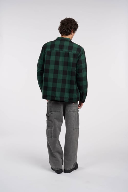 DICKIES Veste Vert