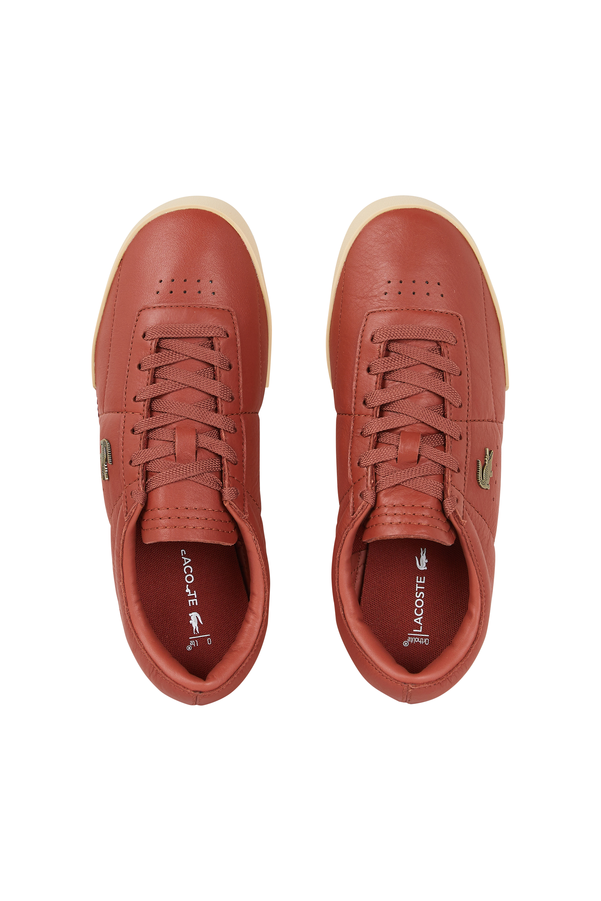 Baskets LACOSTE Marron