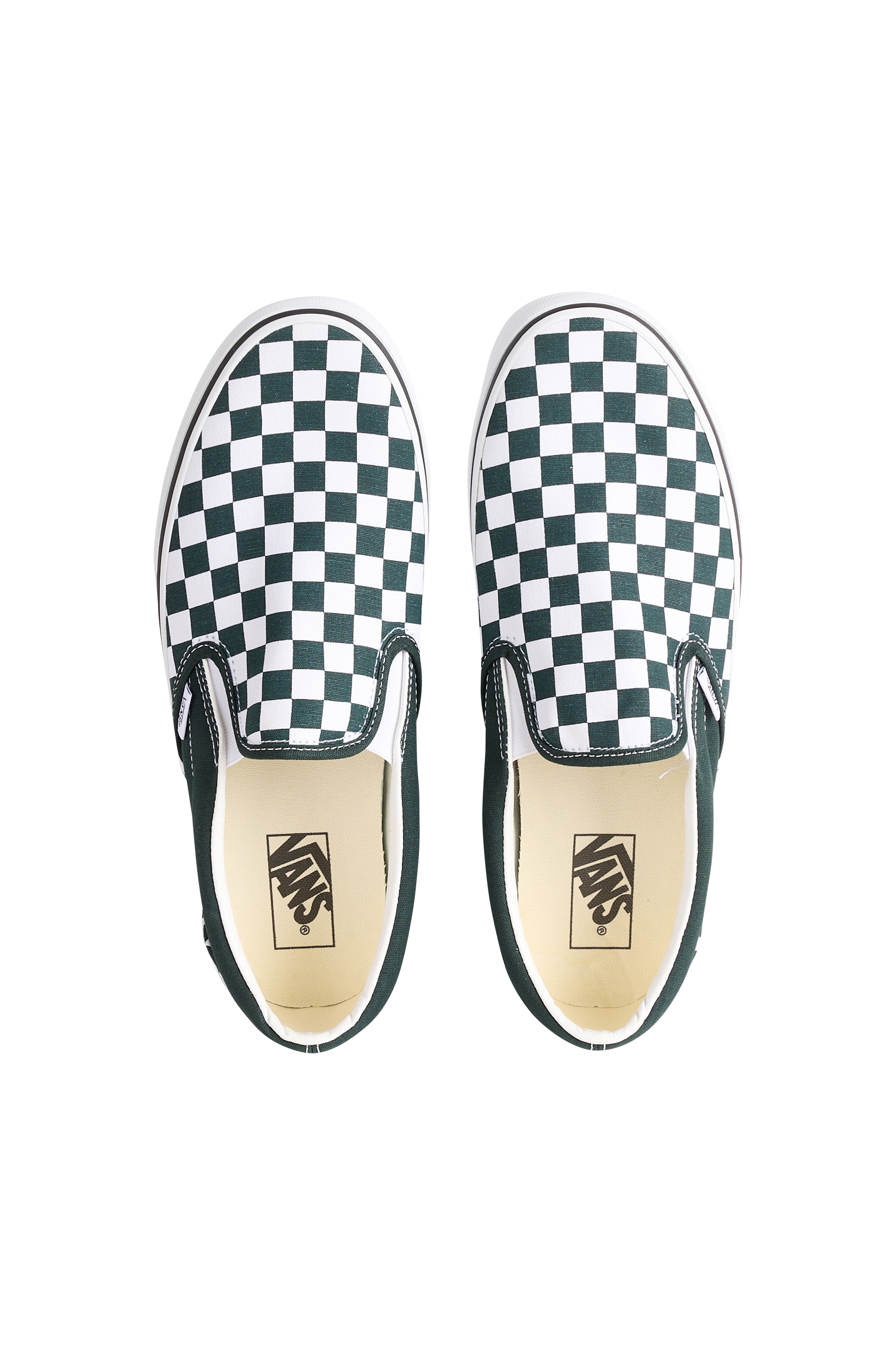 Baskets Multicolore