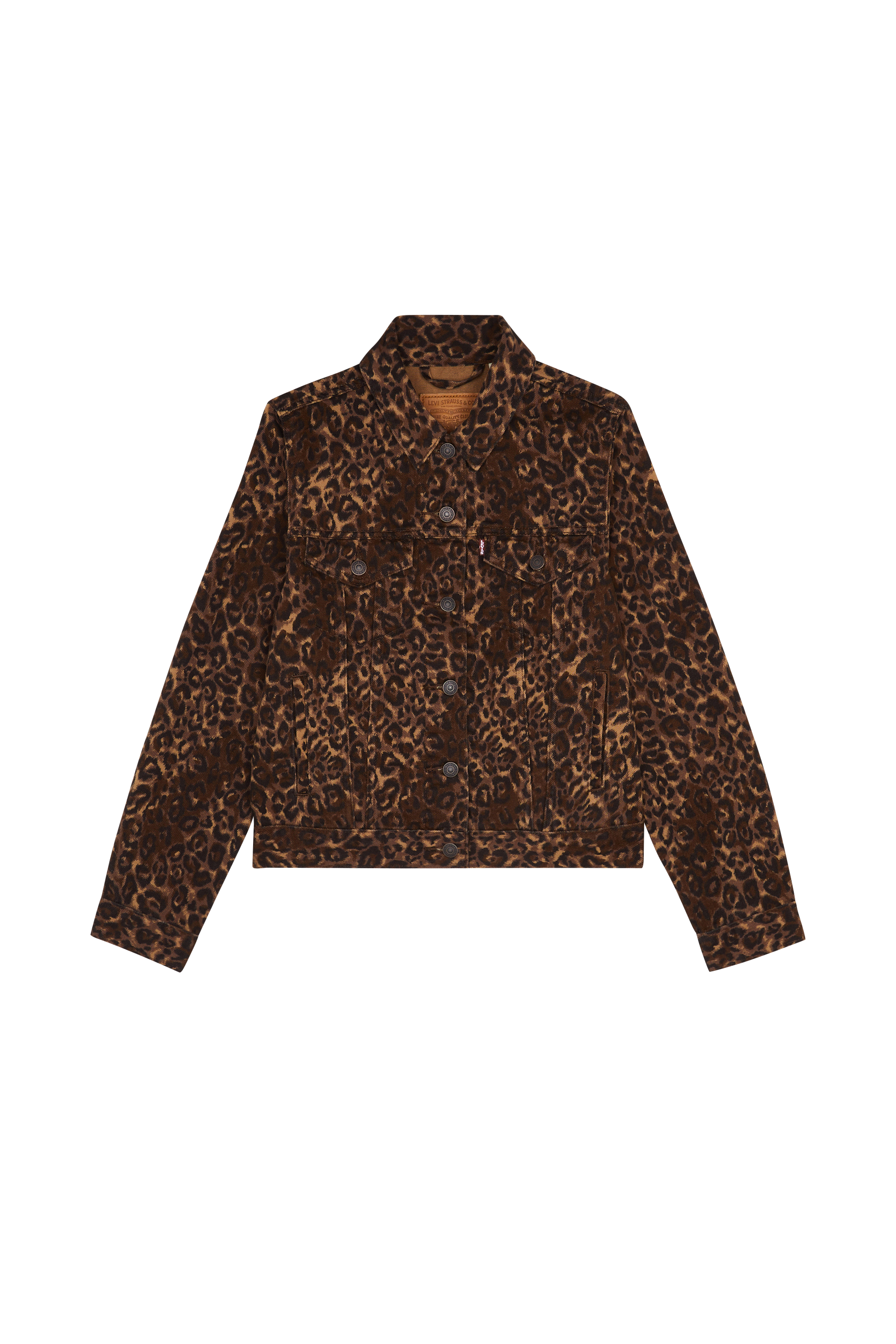 Jacket Multicolored