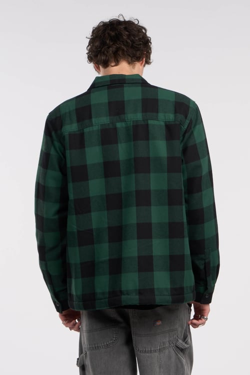 DICKIES Veste Vert