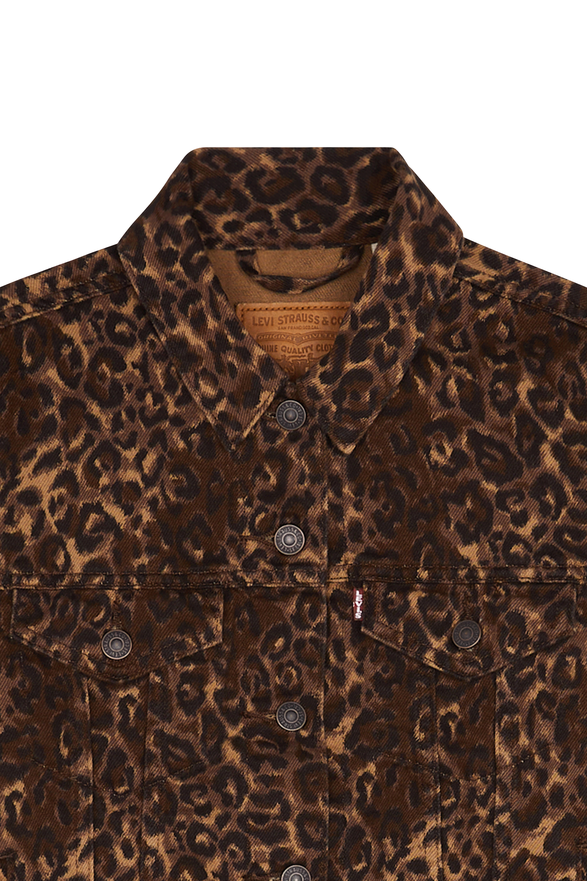 Jacket Multicolored