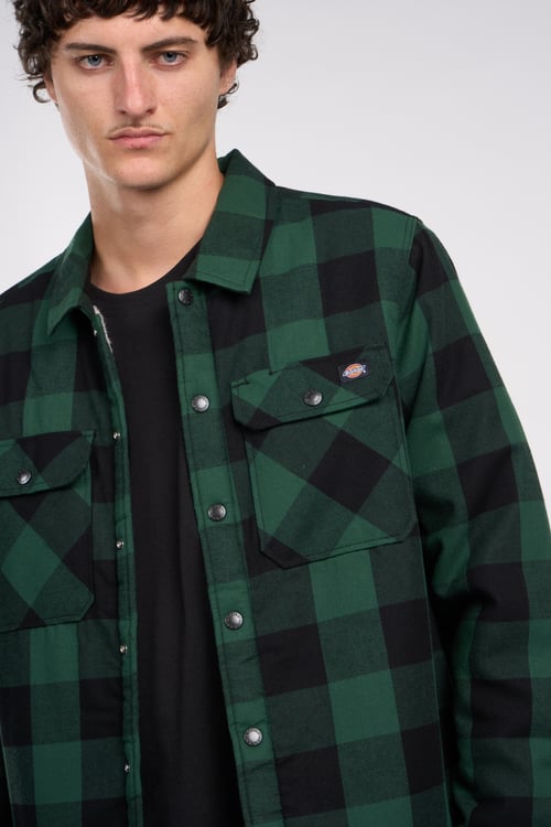 DICKIES Veste Vert