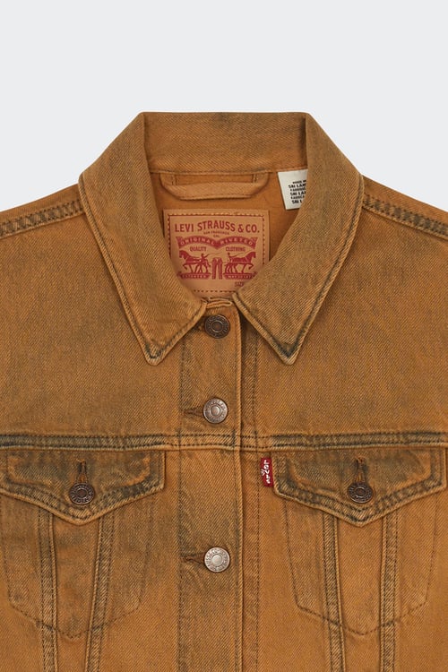 LEVI'S Veste Marron