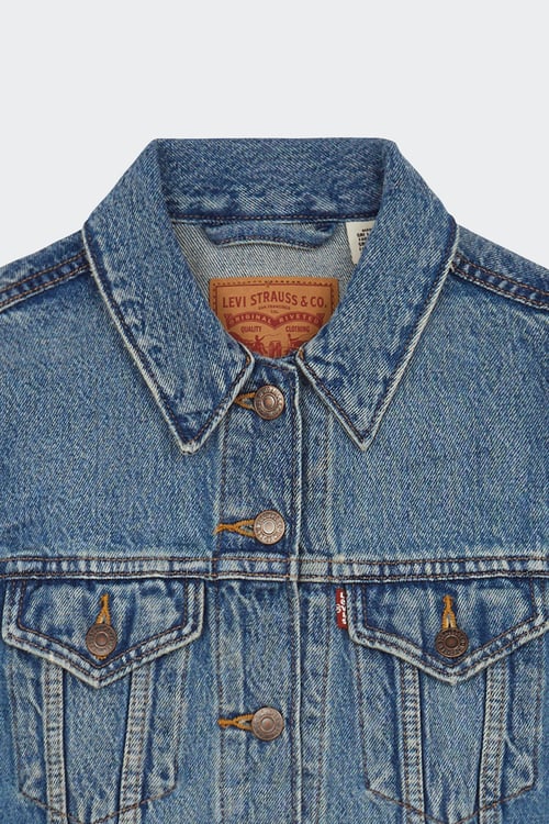 LEVI'S Veste Bleu