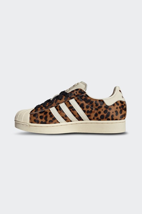 ADIDAS Baskets Marron
