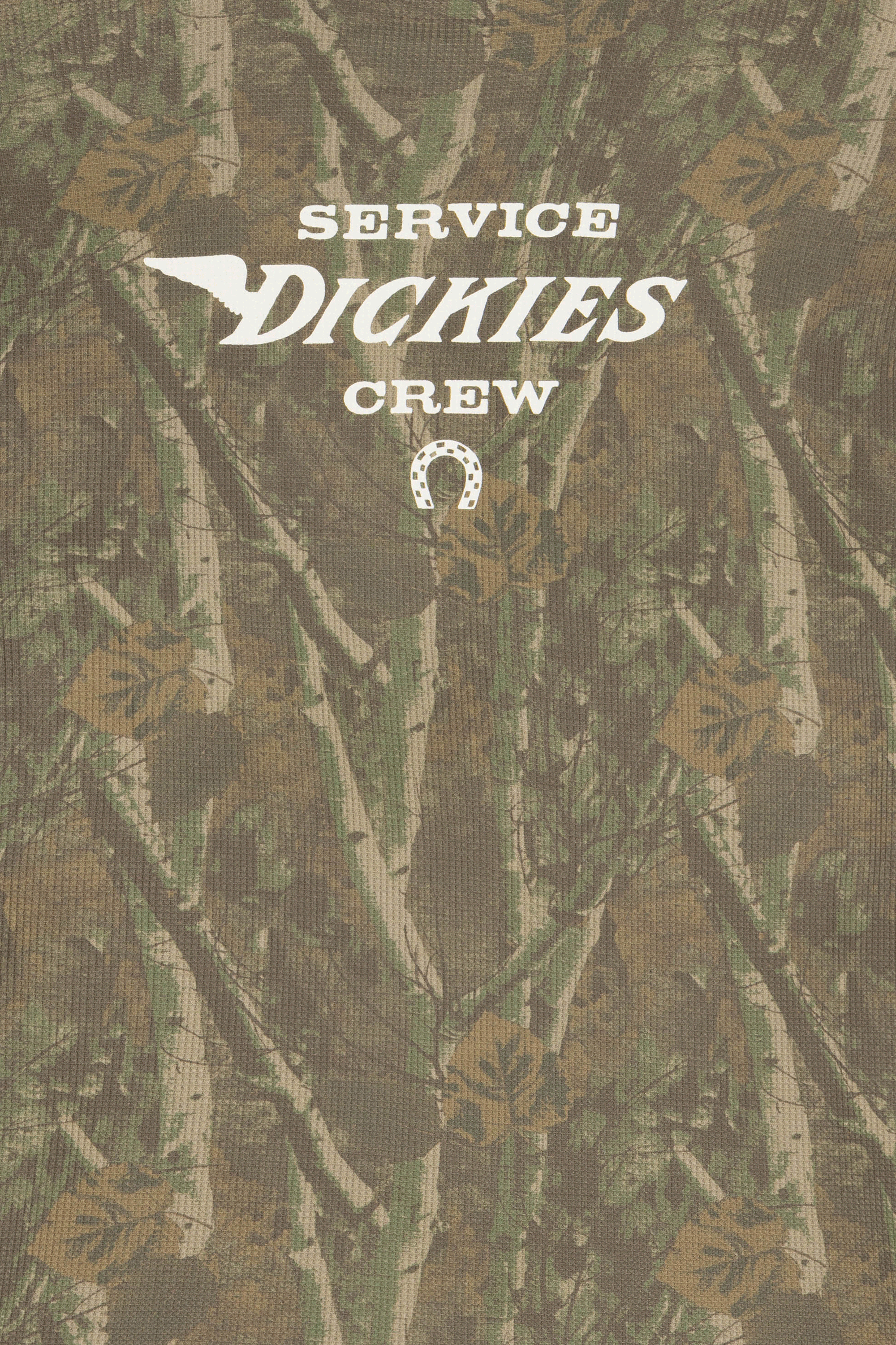 Regular-fit round-neck cotton T-shirt | Green DICKIES Men