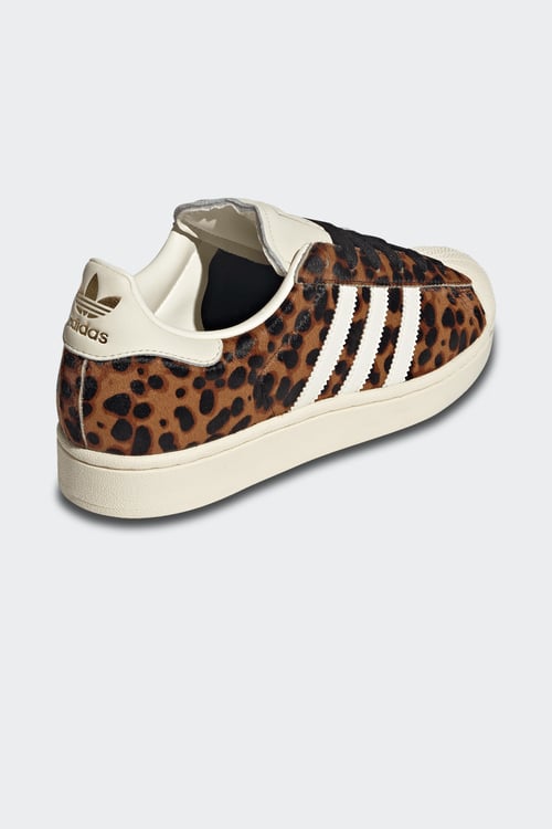 ADIDAS Baskets Marron
