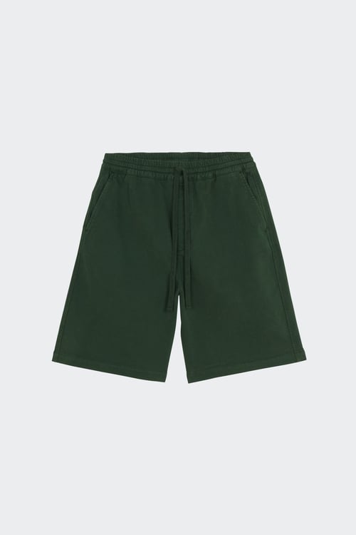 CARHARTT WIP Short Vert