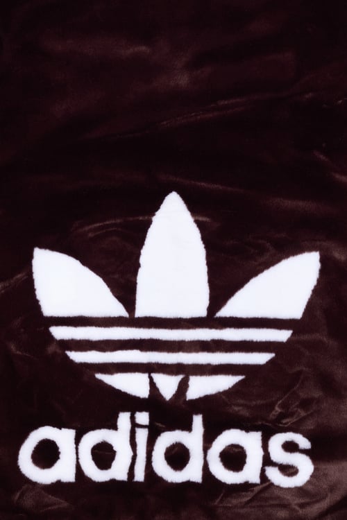 ADIDAS Veste Marron