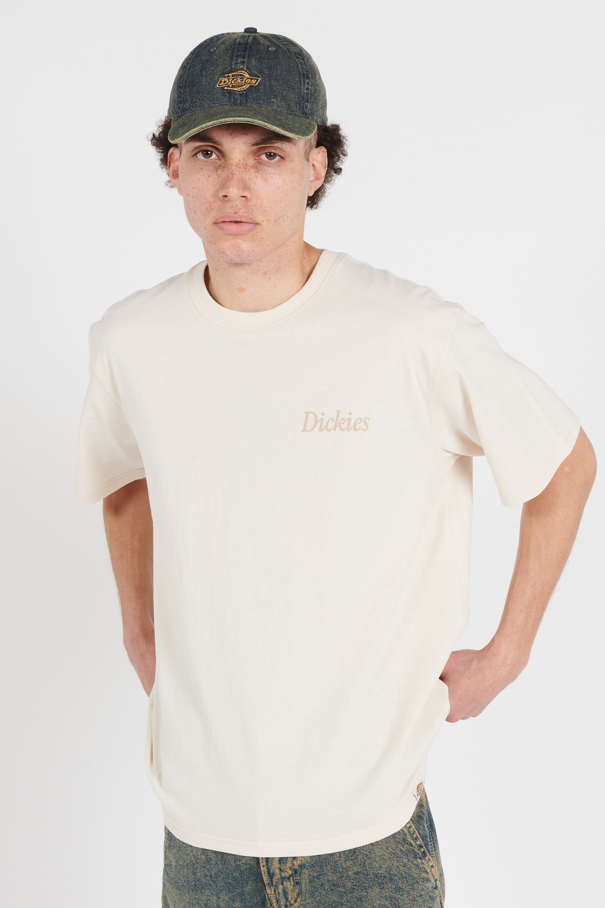 T-shirt | Beige DICKIES Homme