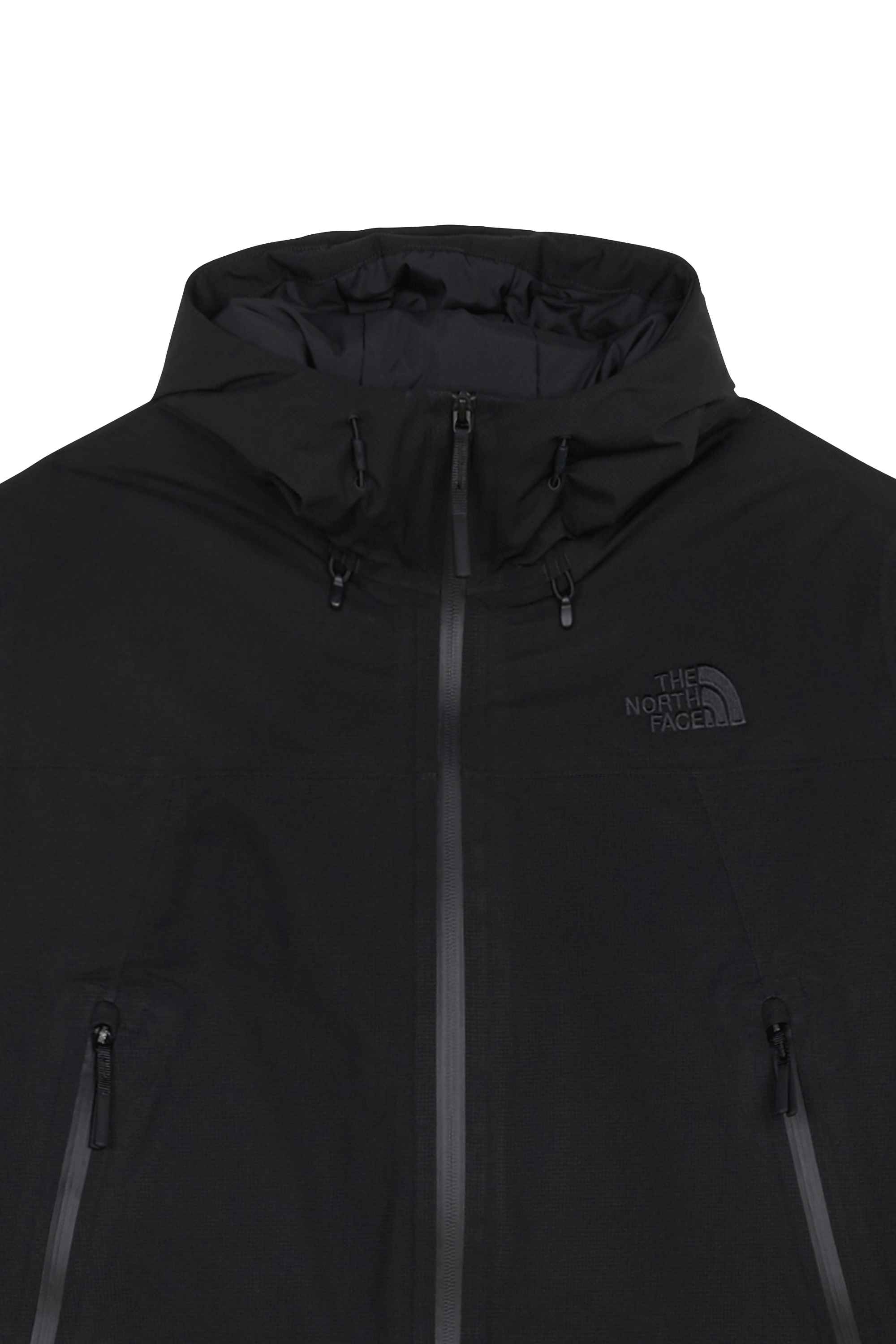 Veste | Noir THE NORTH FACE Homme