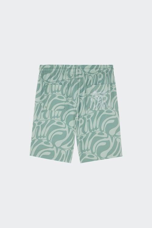 RIPNDIP Short de bain Vert