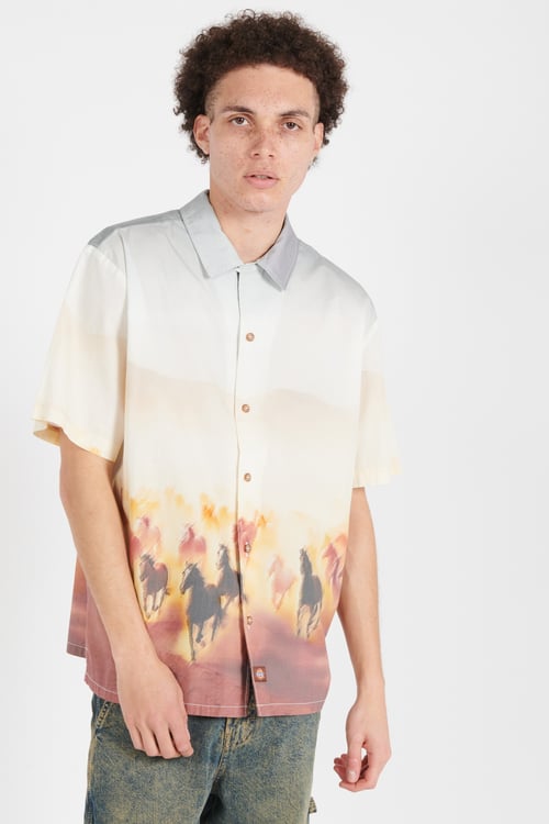 DICKIES T-shirt Yellow