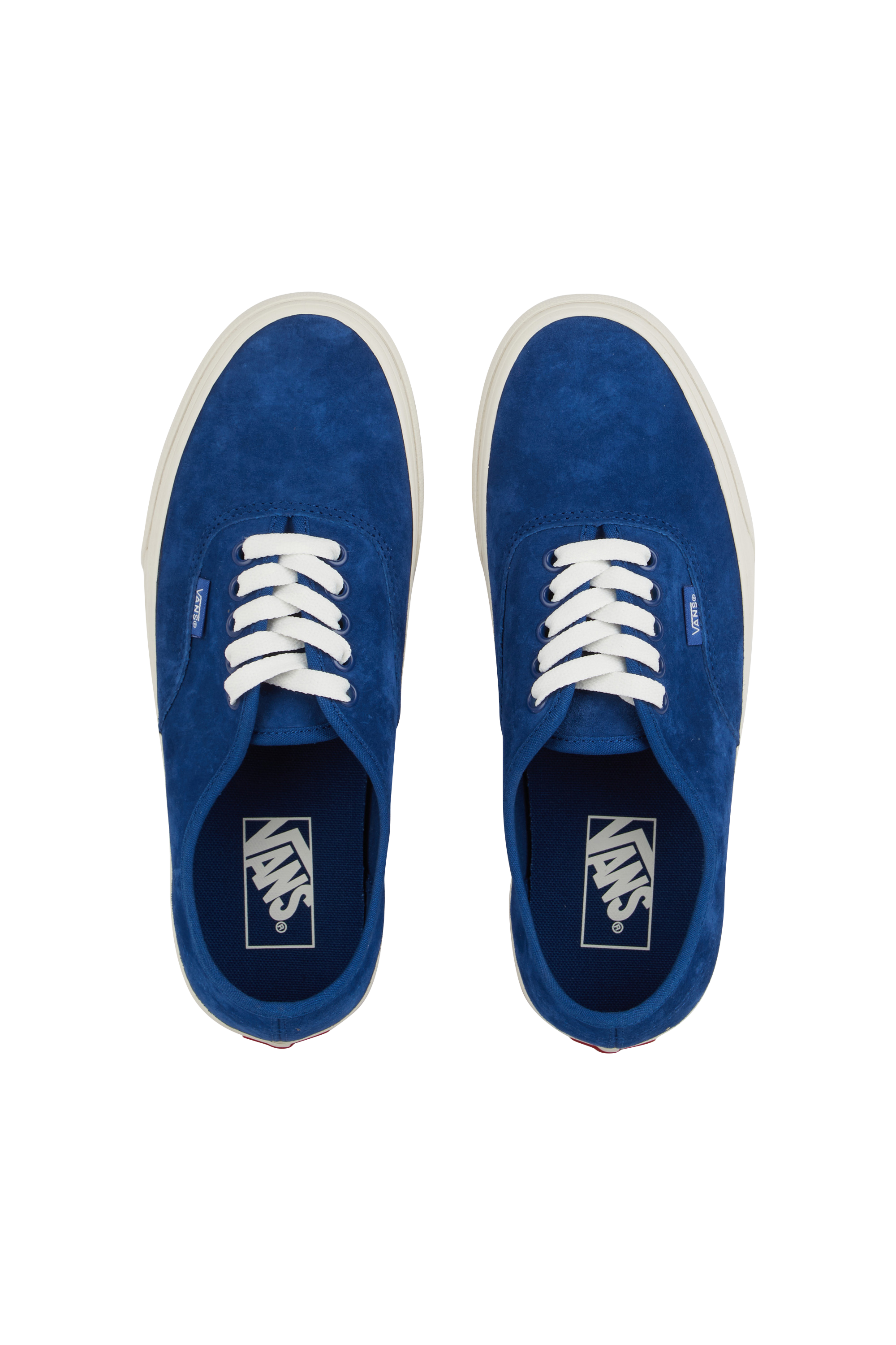 Sneakers Blue