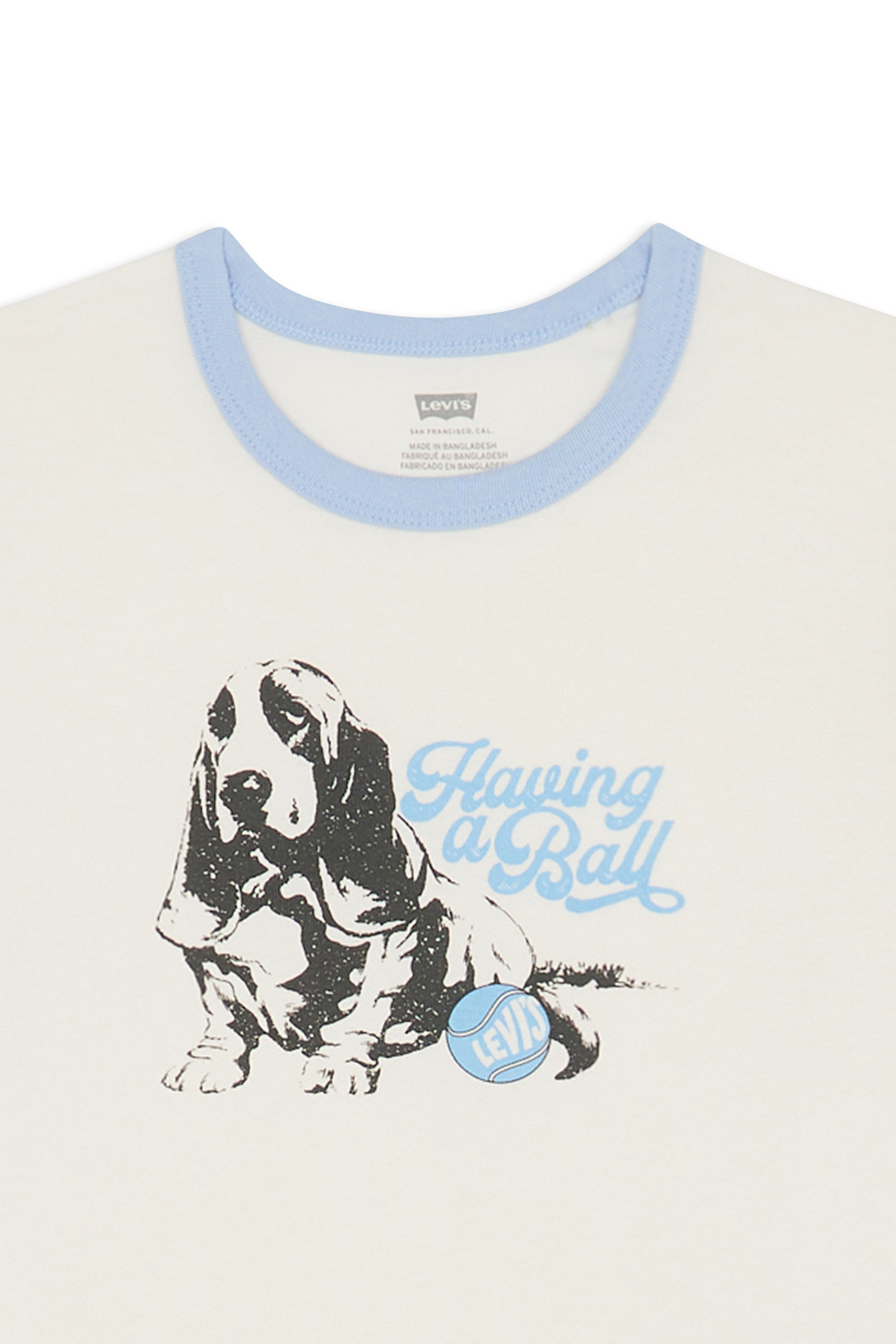 Regular-fit round-neck cotton T-shirt White