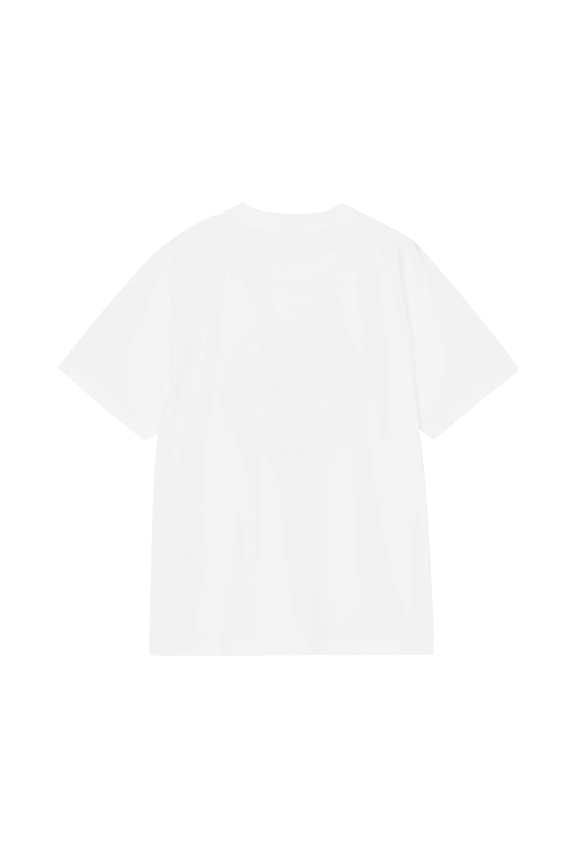 T-shirt col rond en coton bio | Blanc CARHARTT WIP Femme