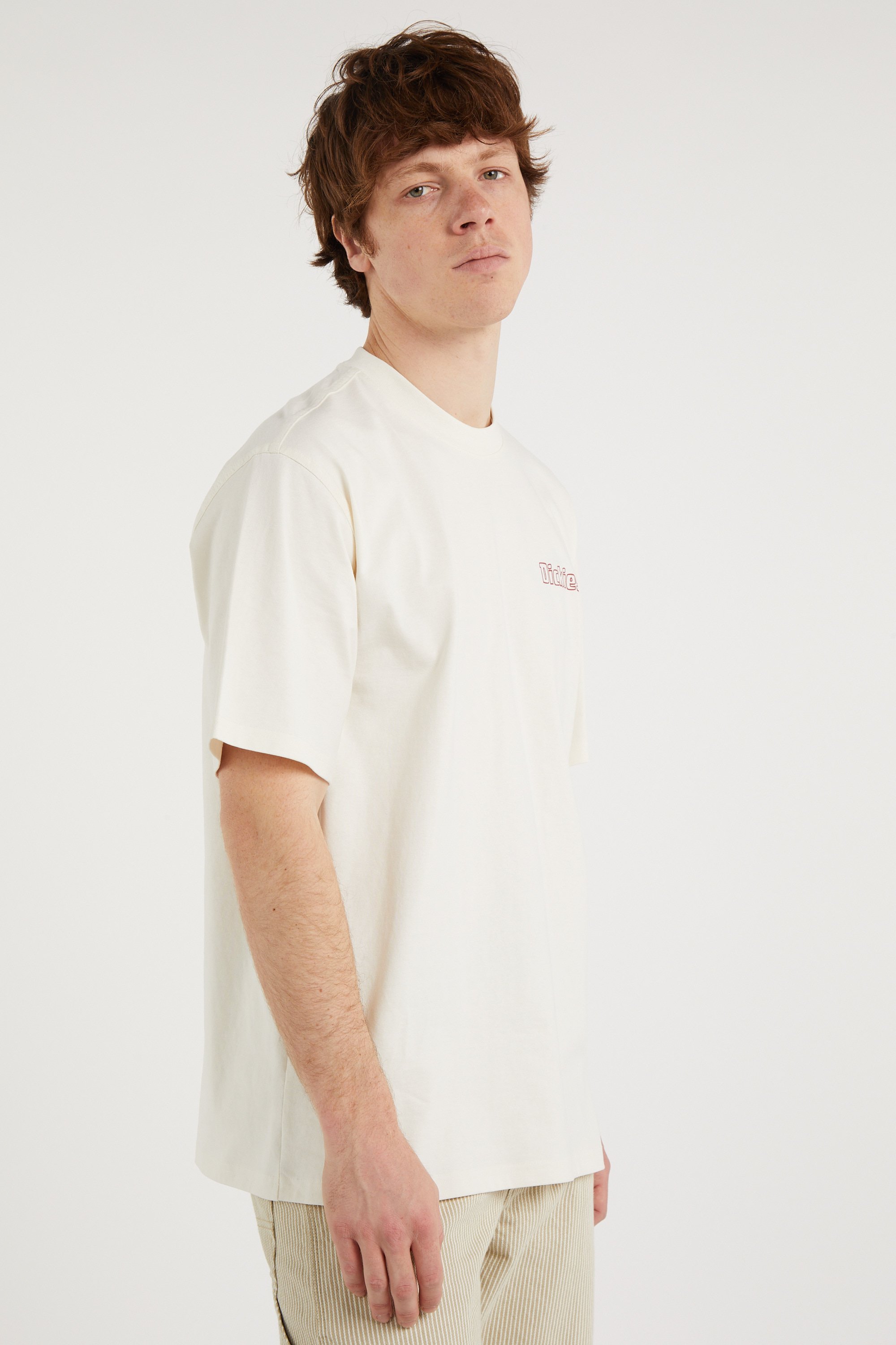 Regular-fit round-neck cotton T-shirt Beige