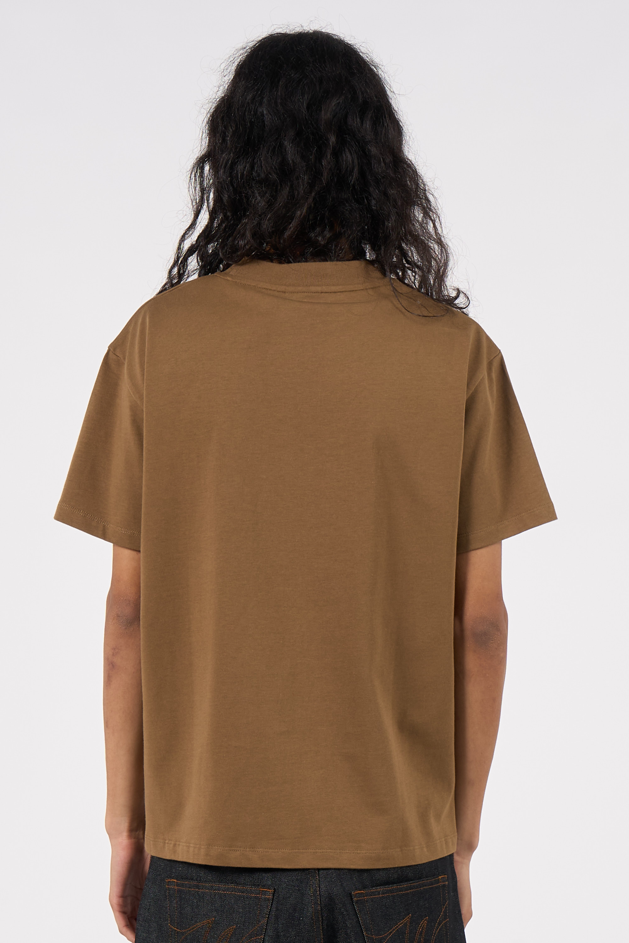 Regular-fit round-neck cotton T-shirt Brown