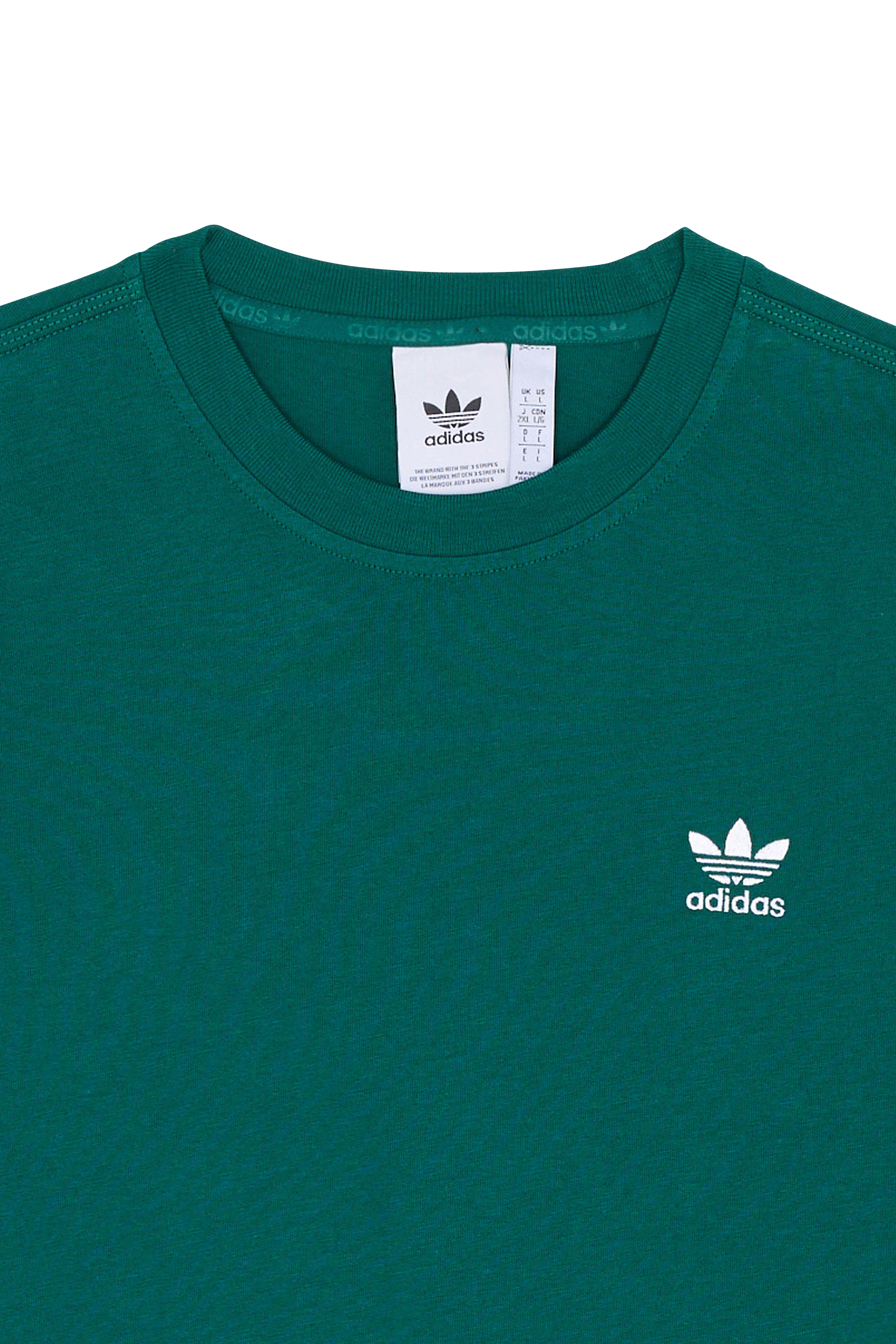 Regular-fit round-neck cotton T-shirt Green