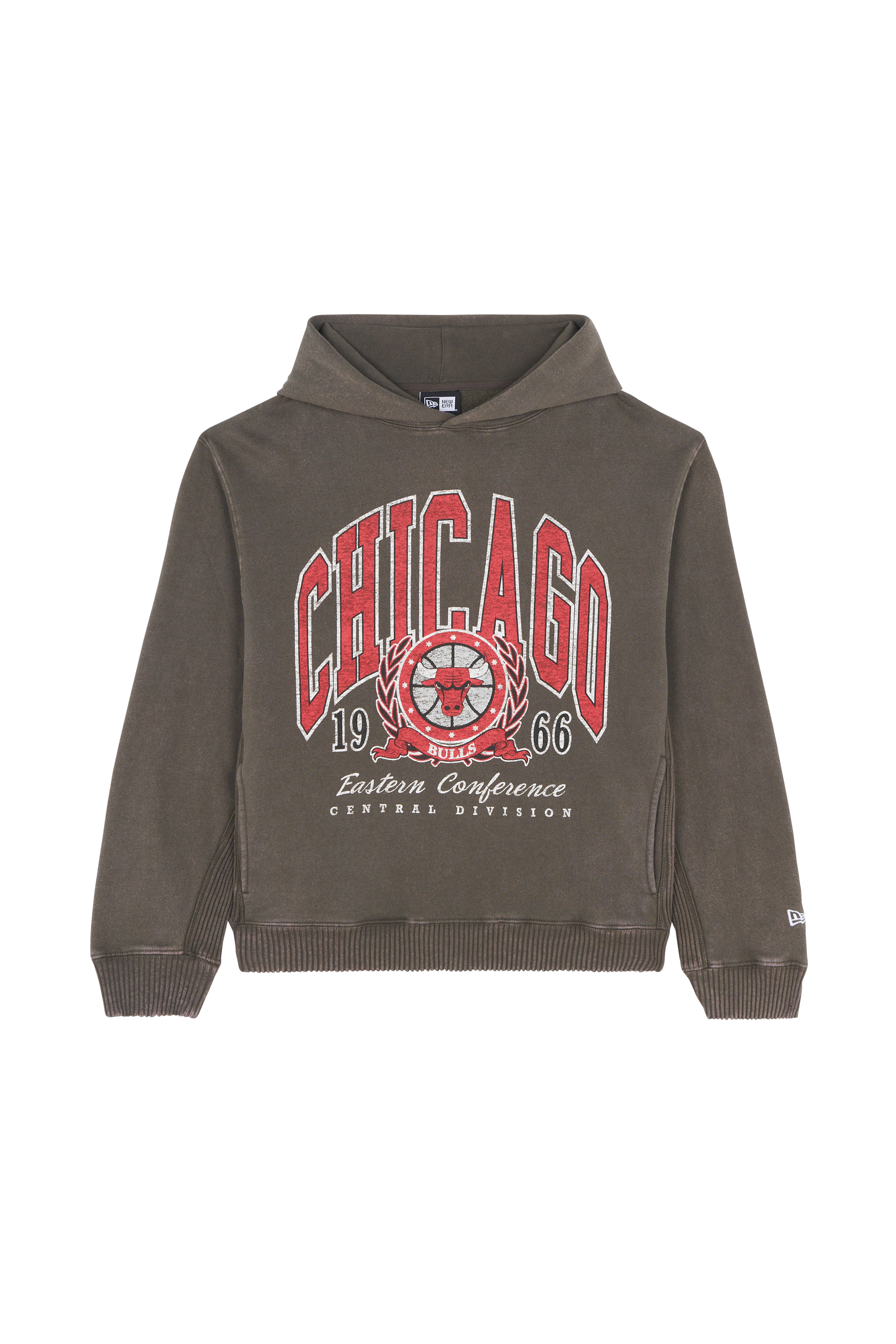 Hoodie Gris