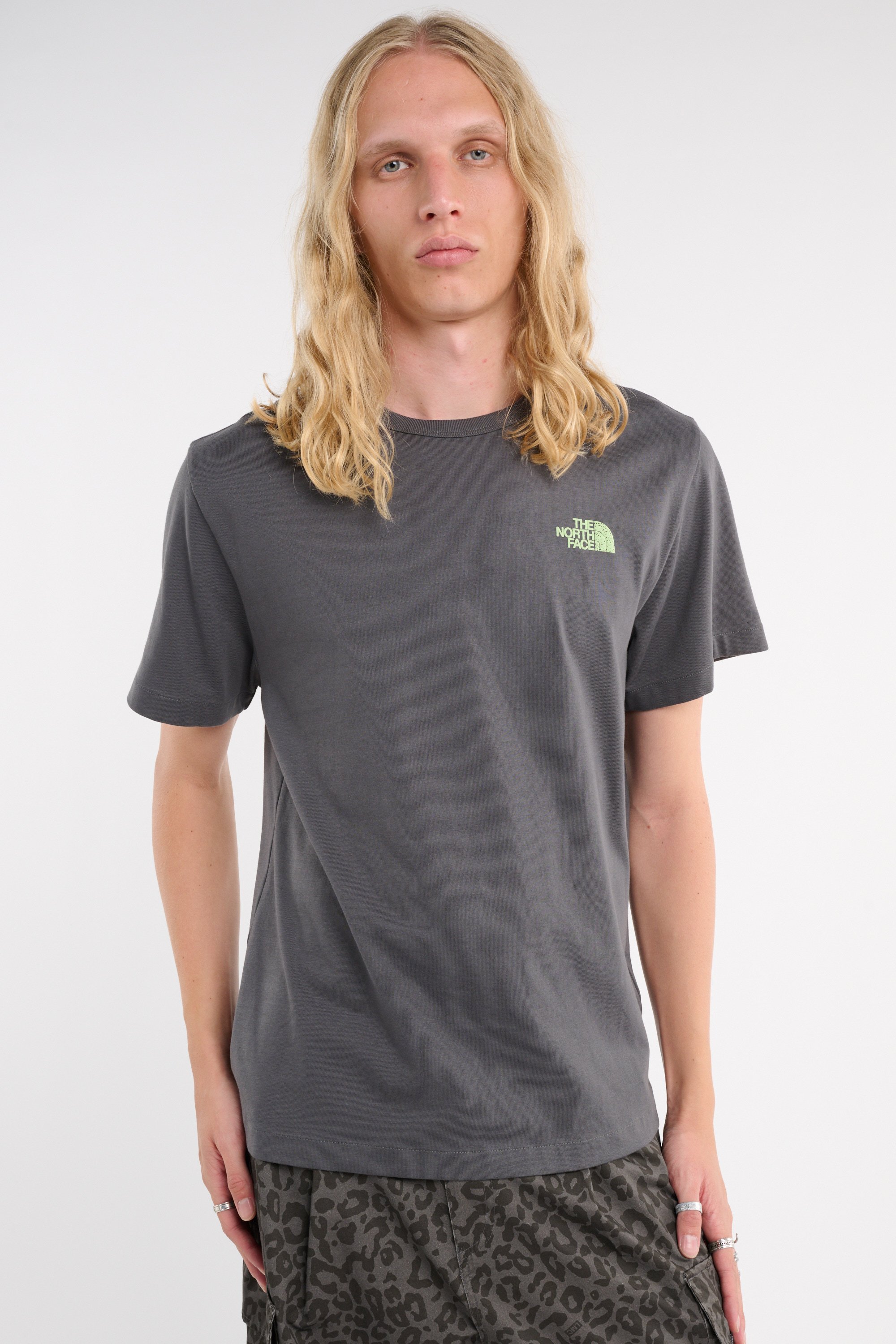 T-shirt | Gris THE NORTH FACE Homme