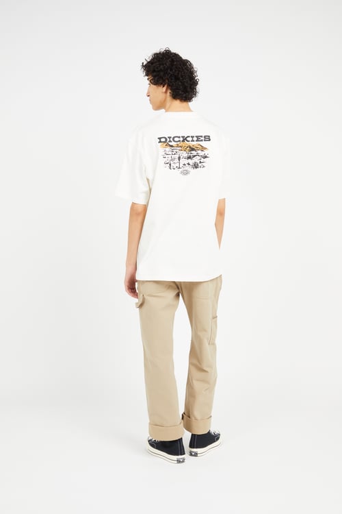 DICKIES Pantalon Beige