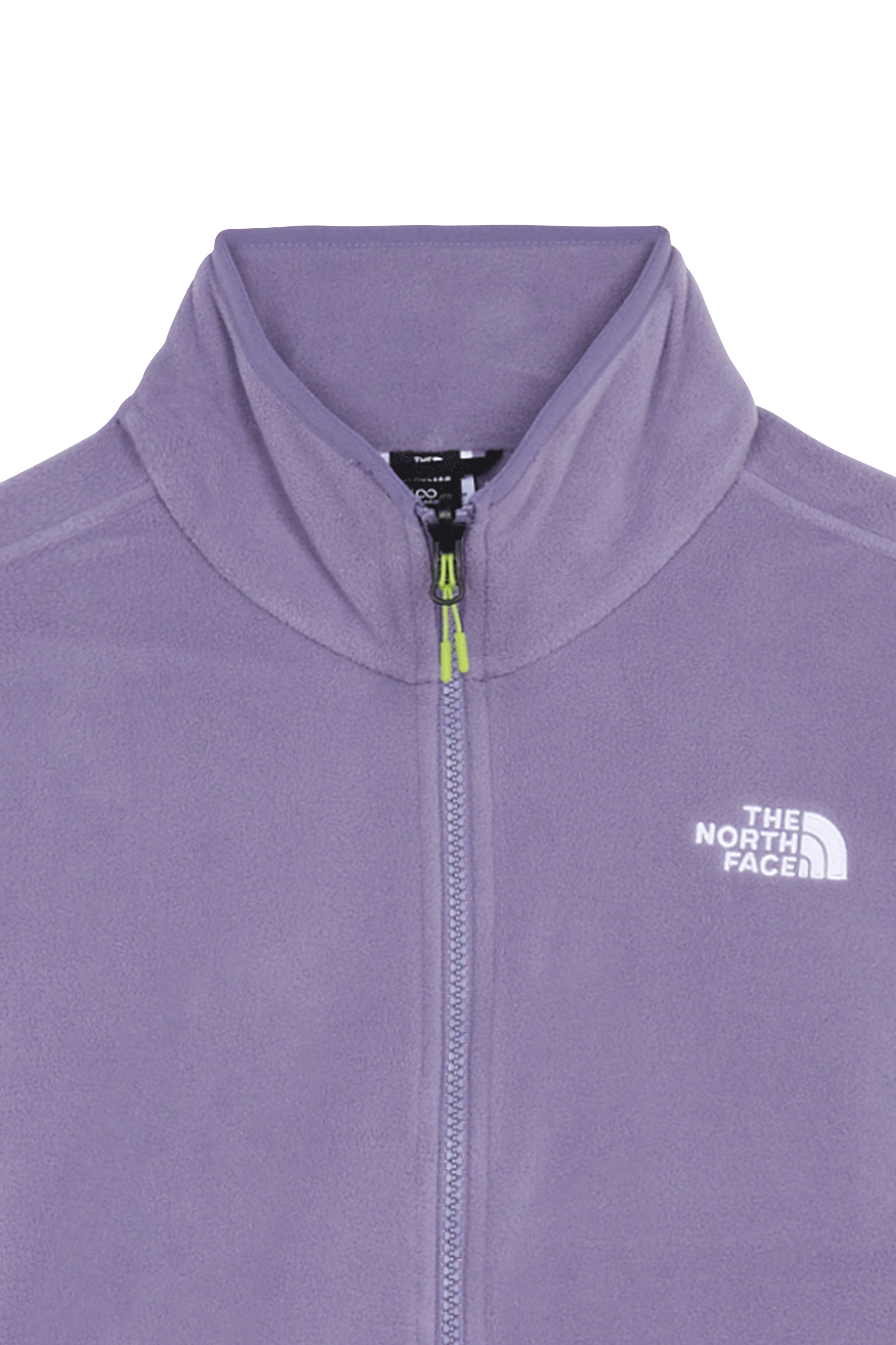 Polaire | Violet THE NORTH FACE Homme