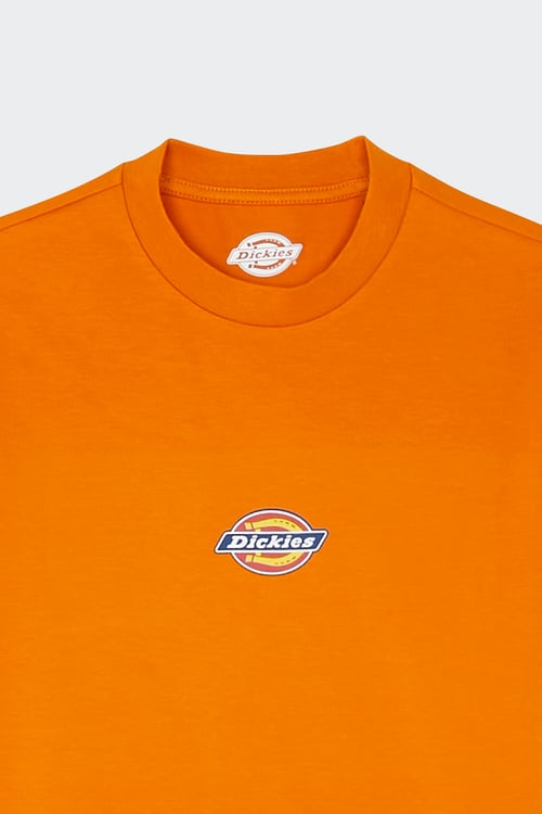 DICKIES T-shirt Orange