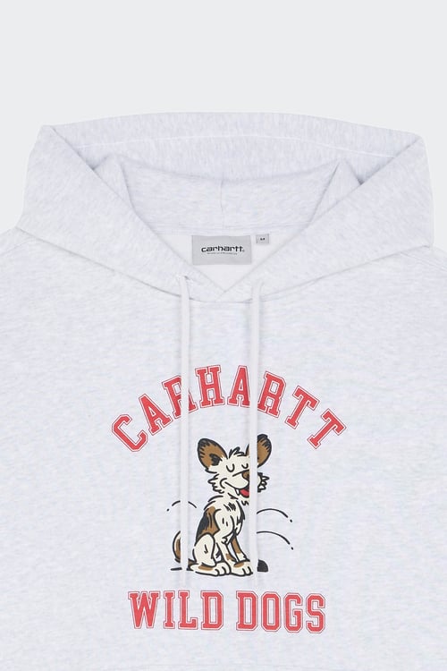 CARHARTT WIP Hoodie Gris