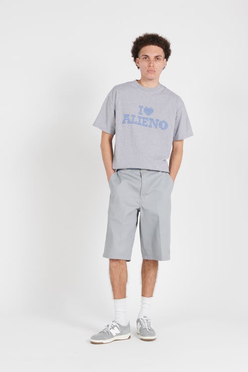 NO PROBLEMO T-shirt Gris
