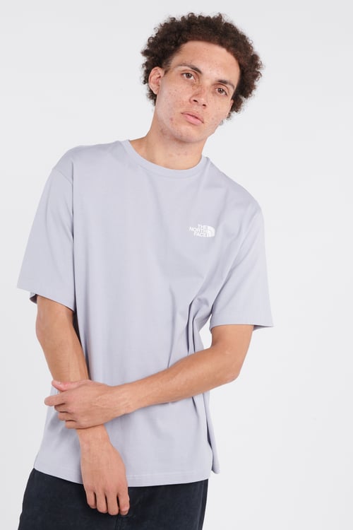 THE NORTH FACE T-shirt Gris