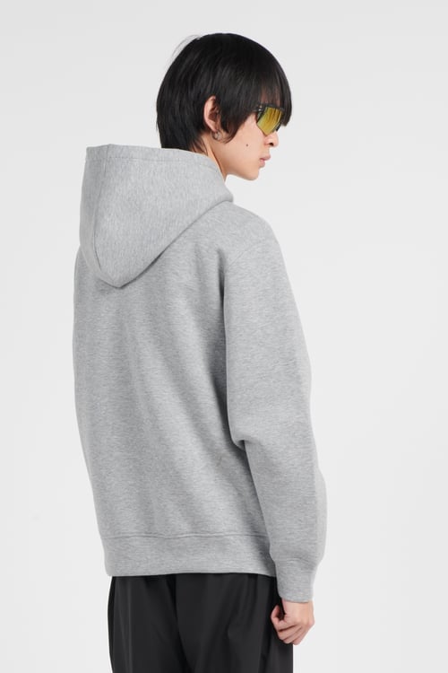 THE NORTH FACE Hoodie Gris