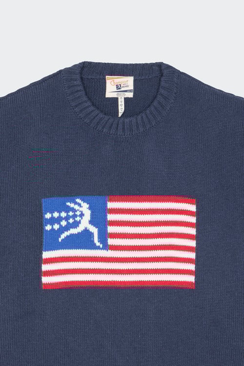 CHAMPION Pull Bleu