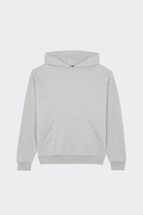 OAKLEY Hoodie Gris