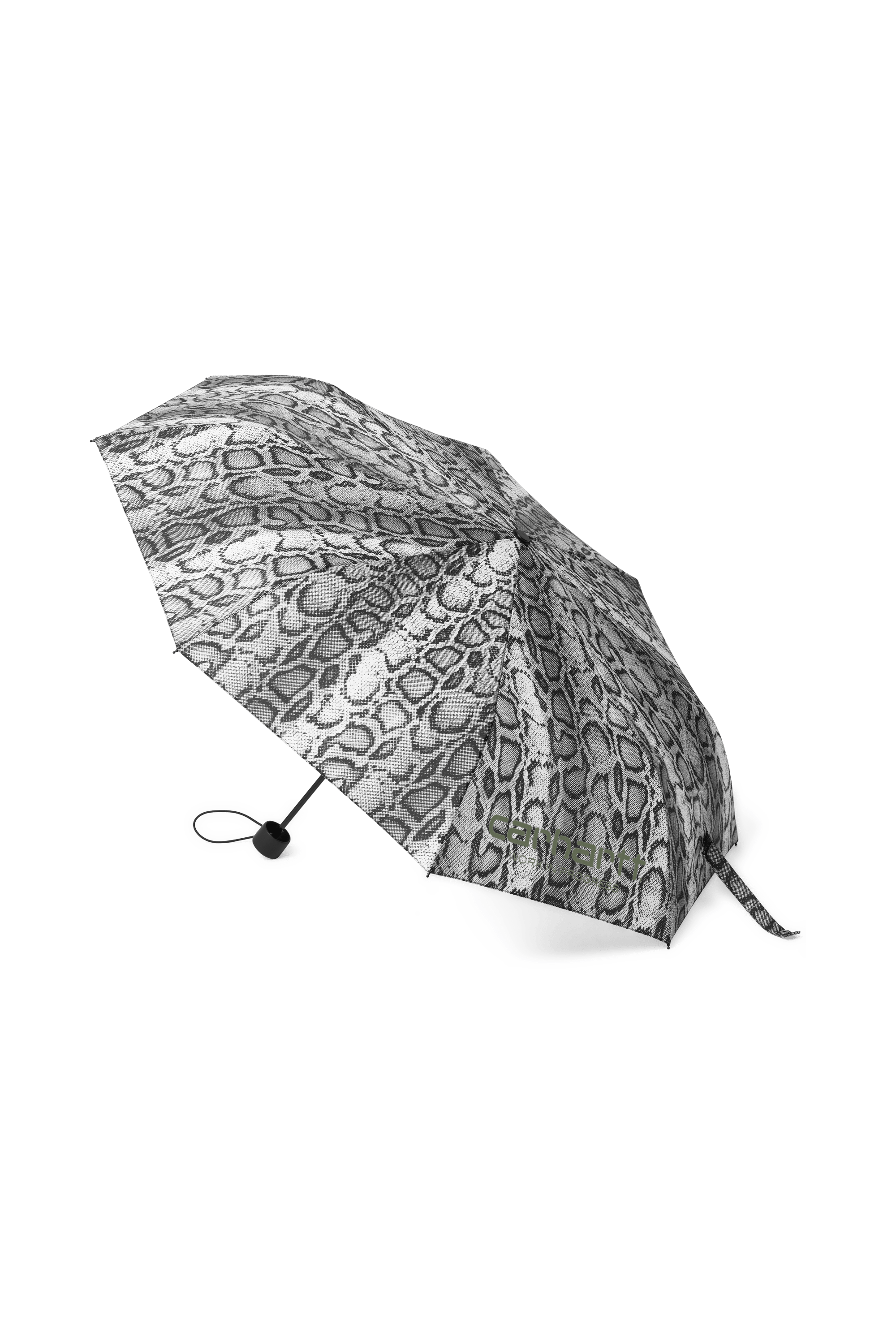 Parapluie Multicolore