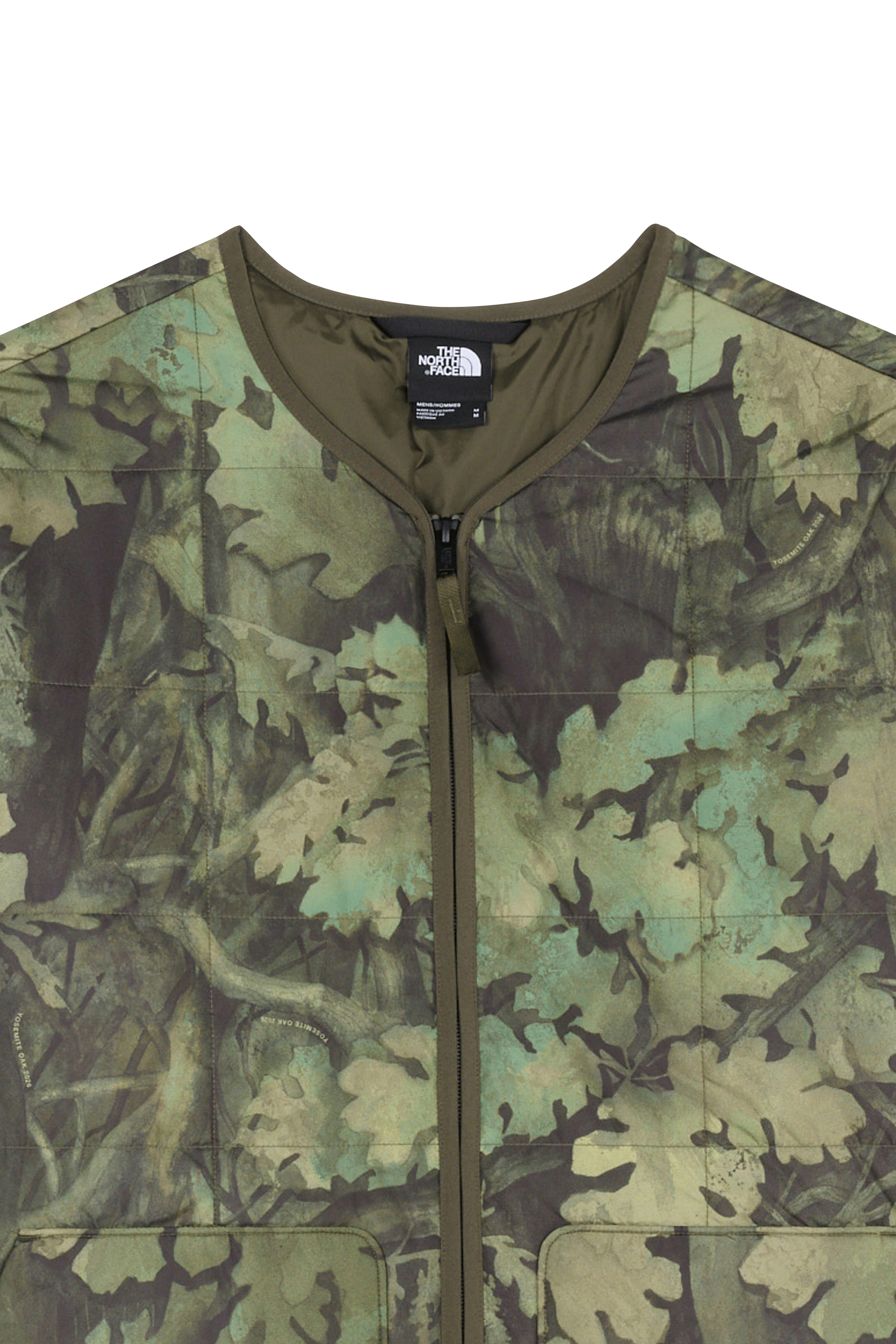 Veste | Multicolore THE NORTH FACE Homme