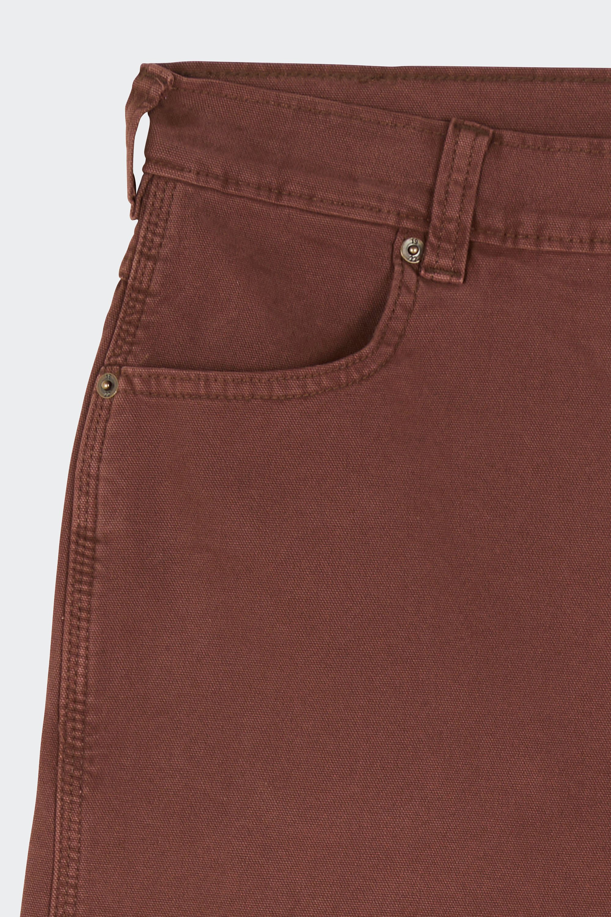 Shorts | Brown by DICKIES Shorts Brown