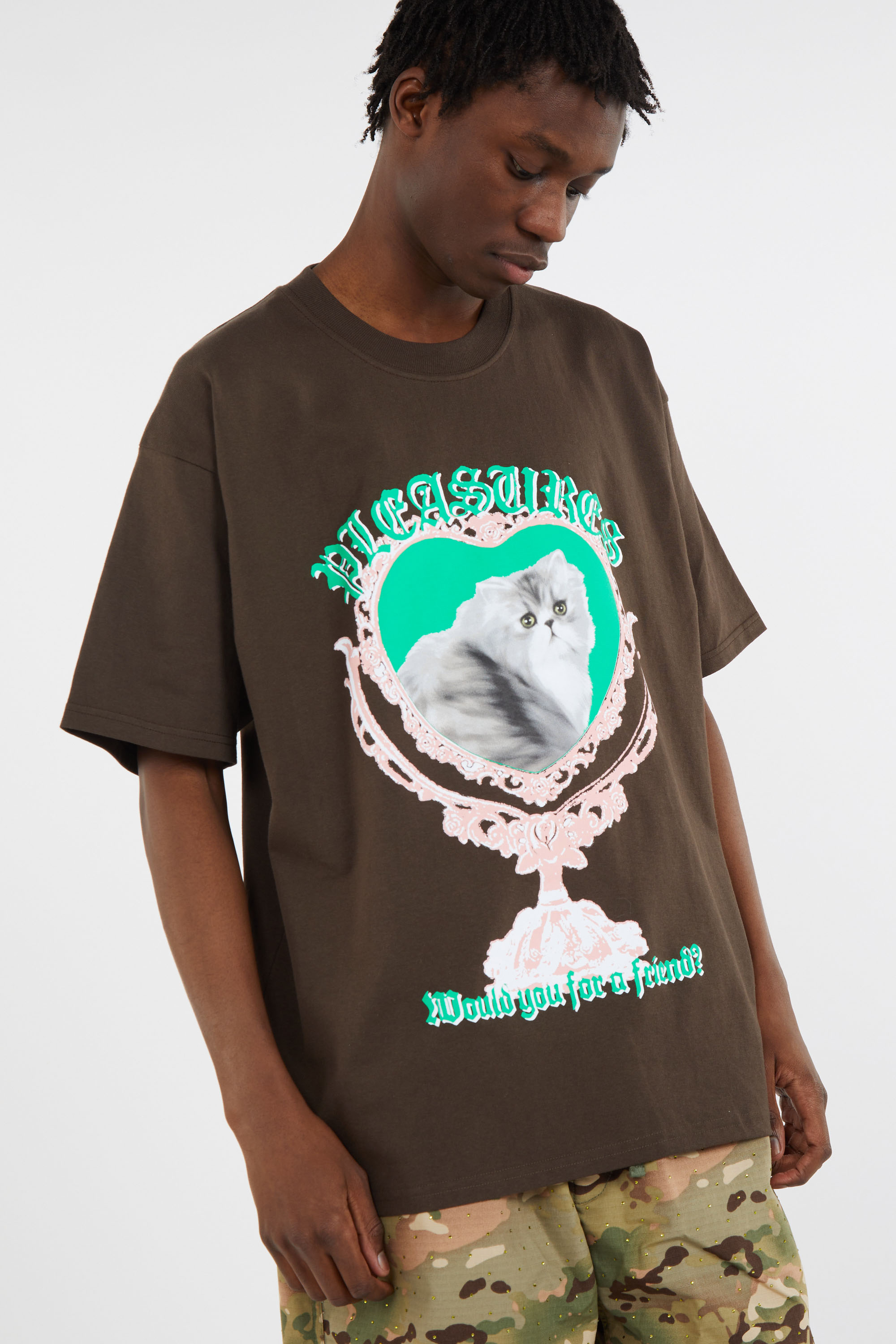 Regular-fit round-neck cotton T-shirt Brown