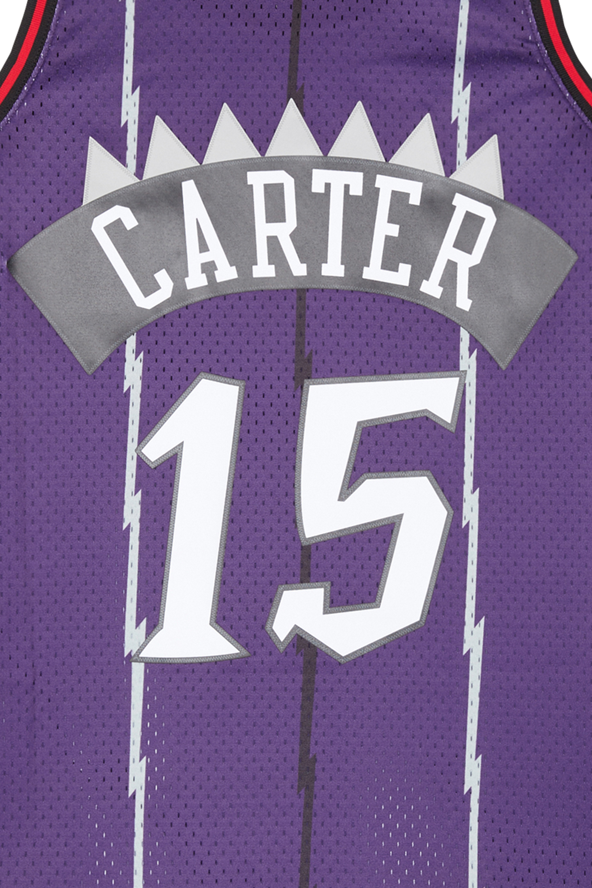 Mascotte Meilleur Salaire Nba Maillot Toronto Raptors Vince Carter - Main Image