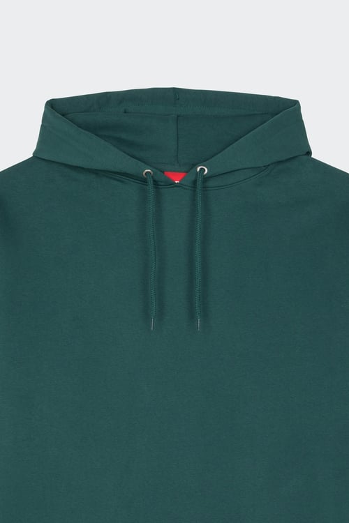 THE NORTH FACE Hoodie Vert