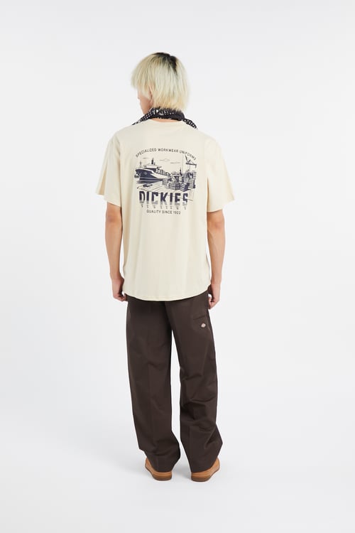 DICKIES Pantalon Marron