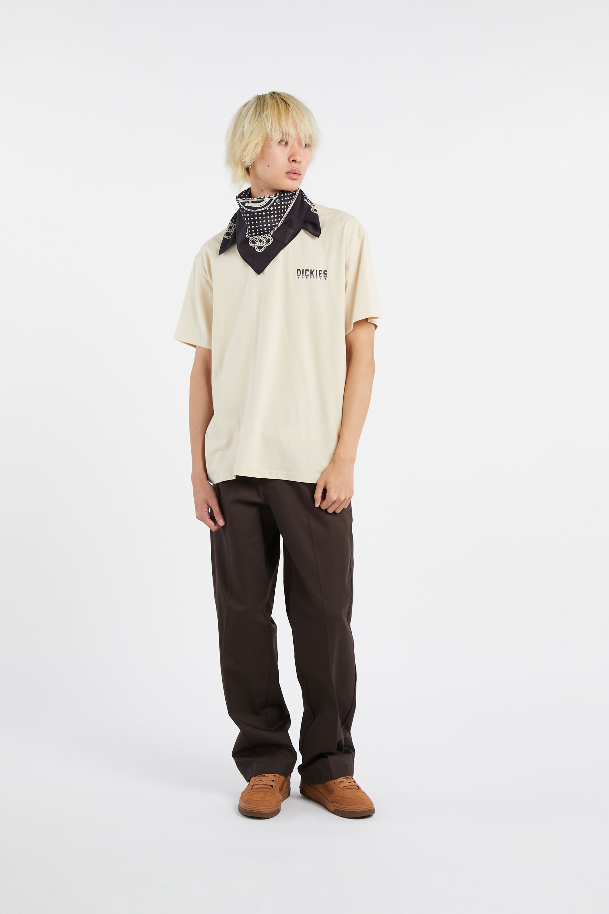 Pants | Brown by DICKIES Pants Brown